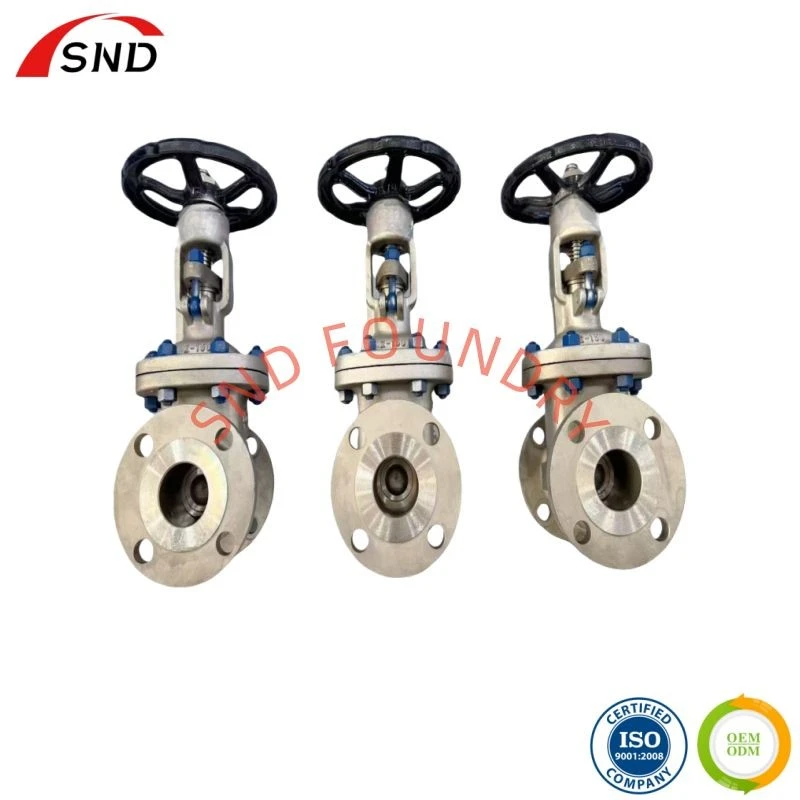 Power Plant Gate Valve